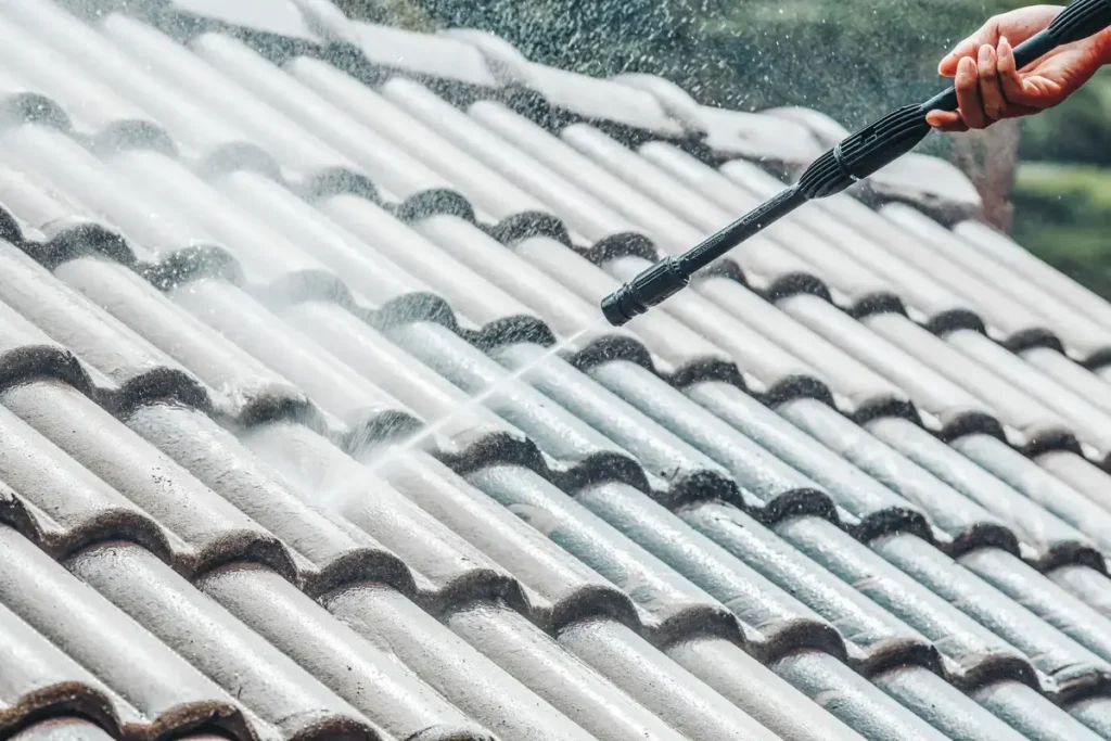 Roof cleaning near me